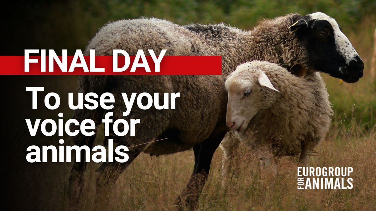 Eurogroup For Animals tweet media