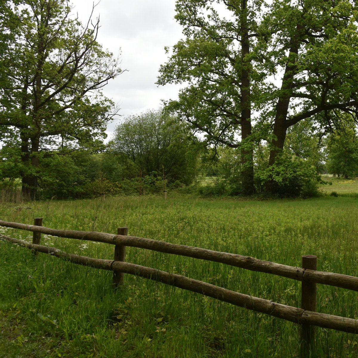 DNA-onderzoek bevestigt dat wolf GW3237m vorige week door afschot uit de populatie is genomen. Daarom vervalt het mijdadvies. De overige algemene adviezen in wolvenleefgebieden zijn nog wel van kracht. Meer informatie over geldende adviezen: provutr.nl/ezm