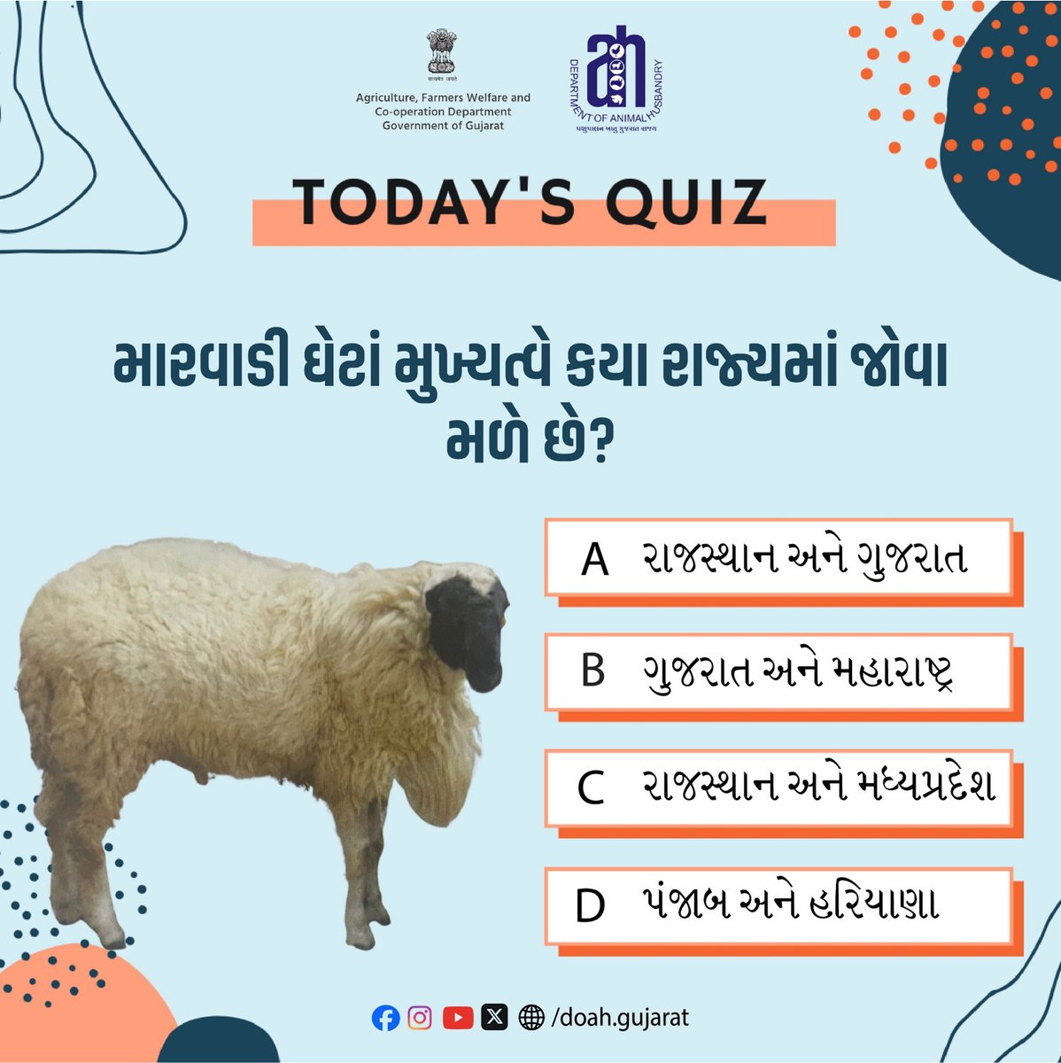 DoahGujarat's tweet photo. Quiz time

@Dept_of_AHD
@InfoGujarat
@jitu_vaghani
@RameshKataraMLA

#QuizTime
#LivestockQuiz
#SheepBreed
#SheepFarming
#LivestockAwareness
#RuralEducation
#AnimalHusbandry
#DoAHGujarat https://t.co/3ZlZqLx9fO