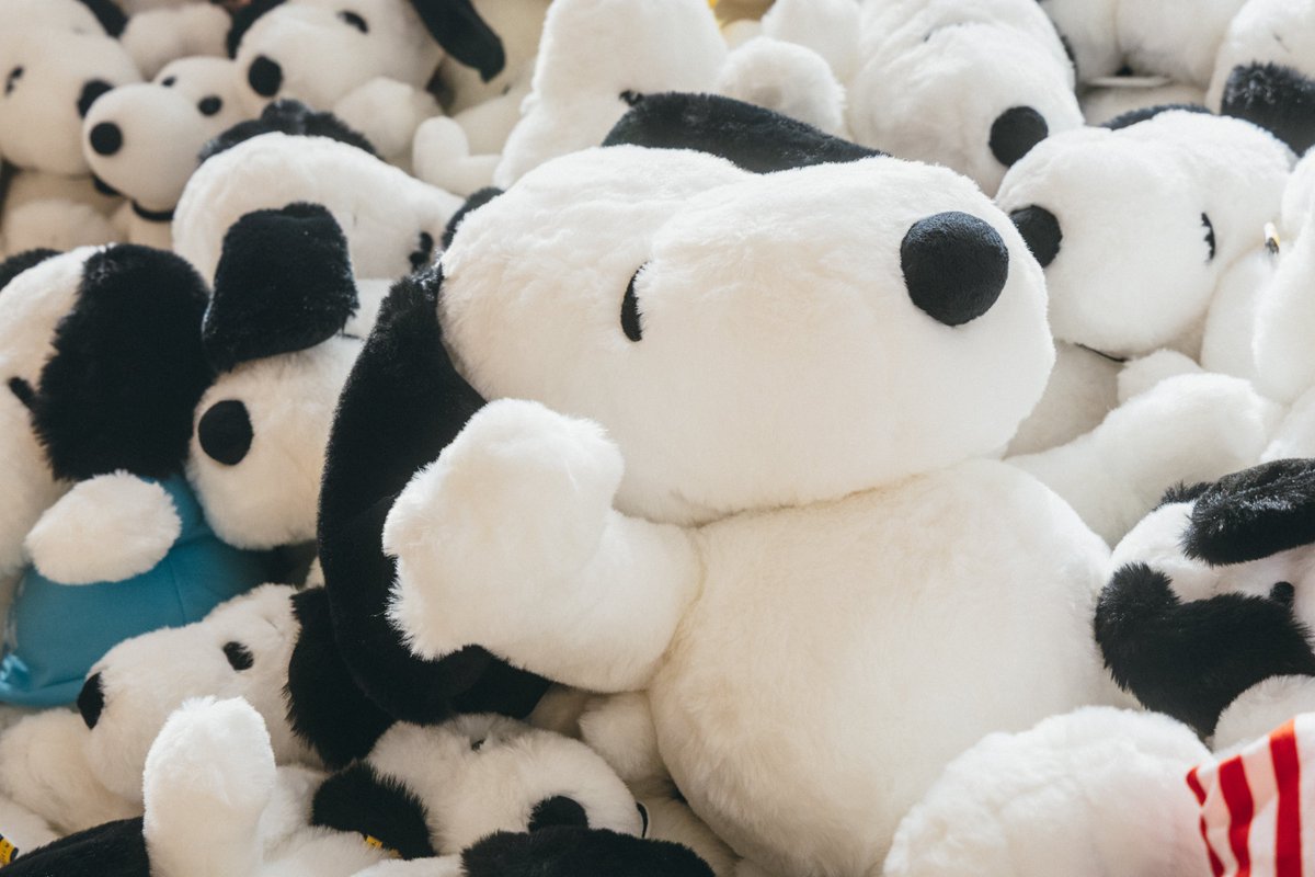 POWER UP! SNOOPY MUSEUM TOKYO スヌーピー・ぬいぐるみウォール
