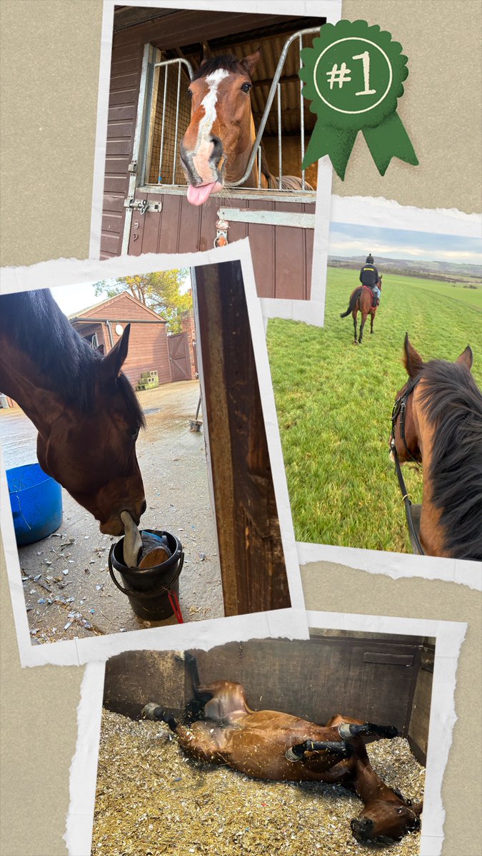 Newstart Racing tweet media