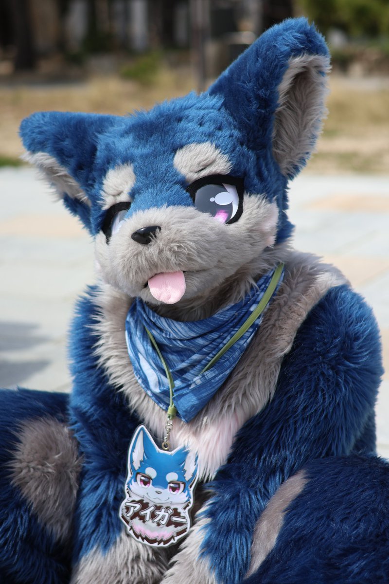 えへ🐶✨ #FursuitFriday