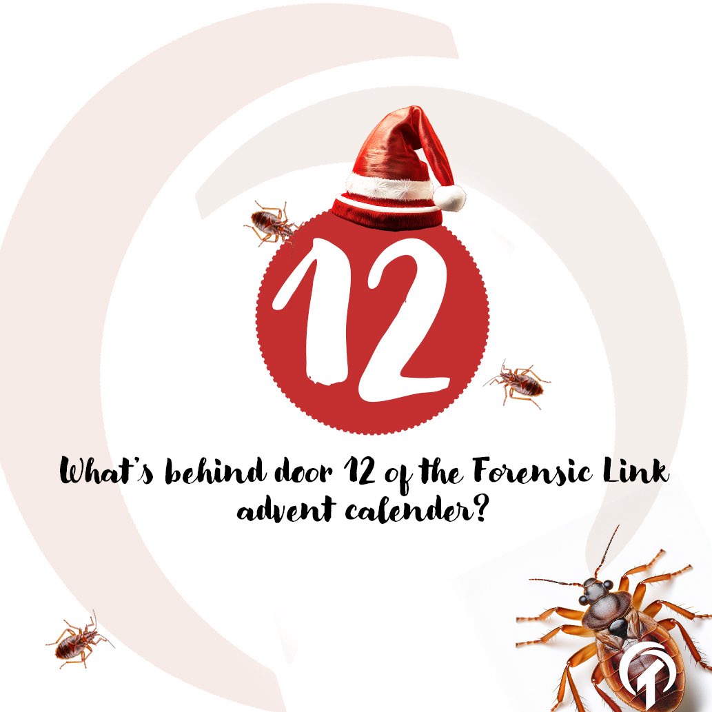 CopperTreeForensics tweet media