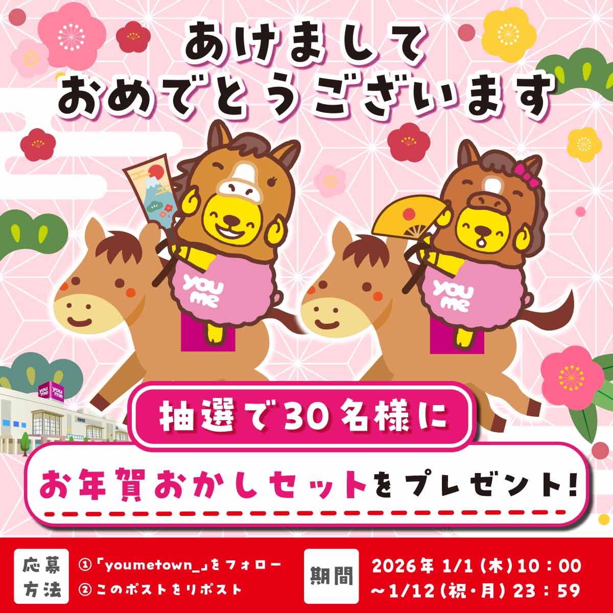 たこちゃんページ 51RgVqgrpHL._AC_UF350,