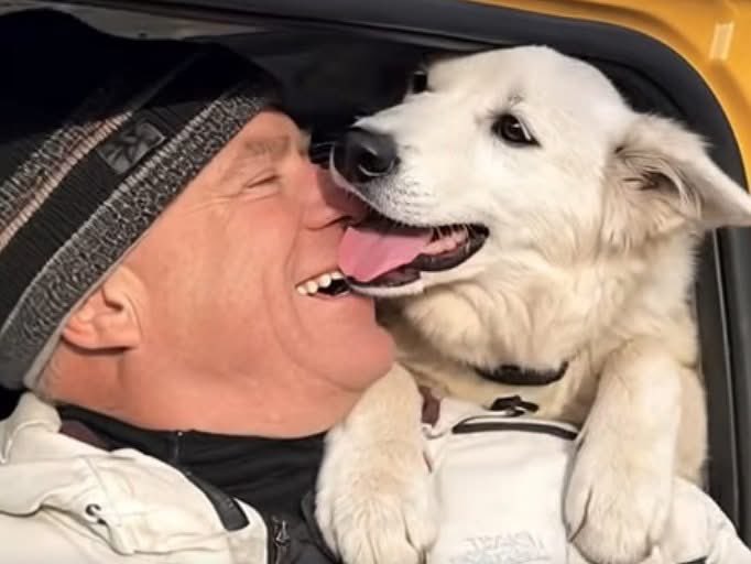 Сьогодні пішов з життя великий друг українських тварин Ден Файн. Людина величезного серця, американець, який став янголом-охоронцем для українських тварин під час війни.

Тисячі врятованих життів, стерилізації, місії на фронт та документальний фільм "WAR TAILS", який він