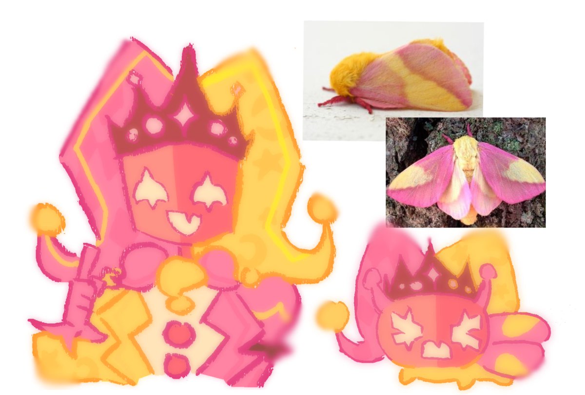 #terminationprotocol Noli, the moth🐛