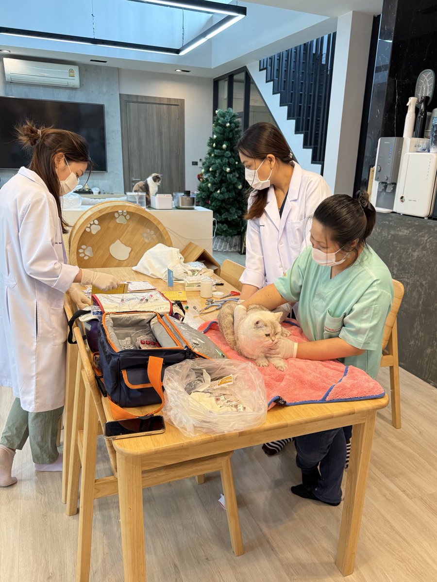 วัคซีนประจำปีที่บ้าน คุณหมอมาจิ้ม 22 ตัวเลยต่ะ