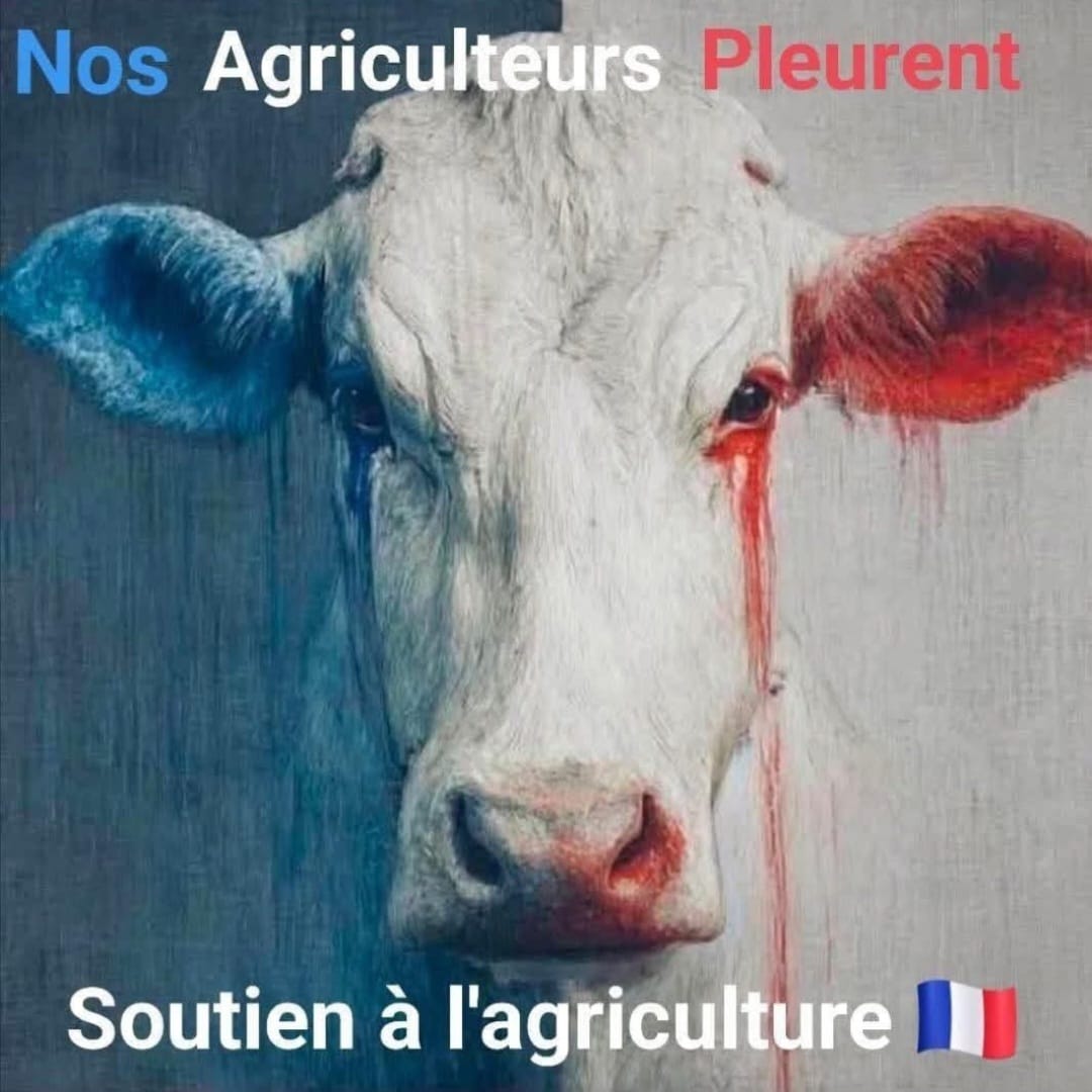 MagLiber3's tweet image. Rt ce visuel Partout 
#AgriculteursEnColère #agriculteurs