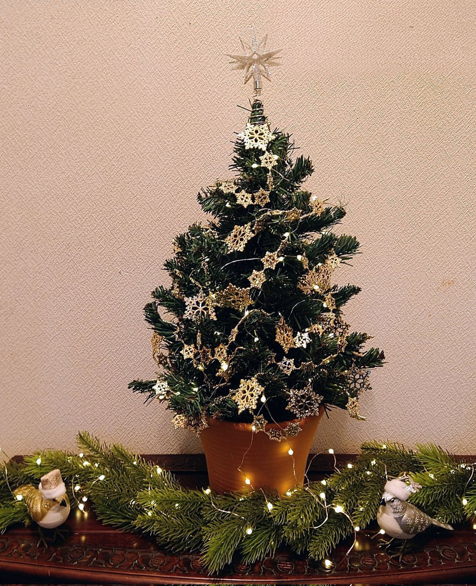 Pearl Jam
/ Someday At Christmas

S・ワンダーのクリスマスソングをパール・ジャムがカバー😀
何を演っても何でこんなにかっこいいんだろう…。

写真はうちのクリスマスツリー🎄2025

#MerryChristmas

youtu.be/rGCnzz9H0Ws?si…