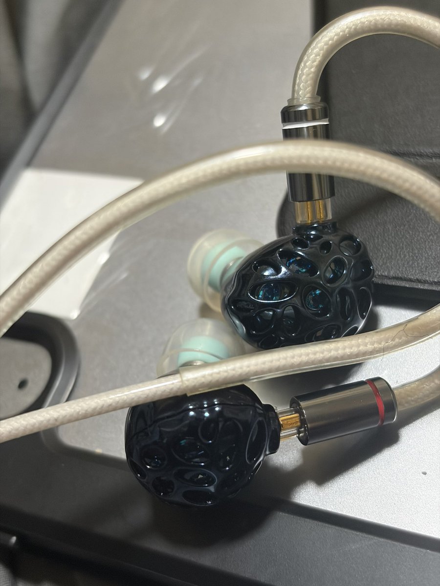 TRNOfficialTRN1 TRN whaleshark イヤホン Amazonで購入しました。 trn