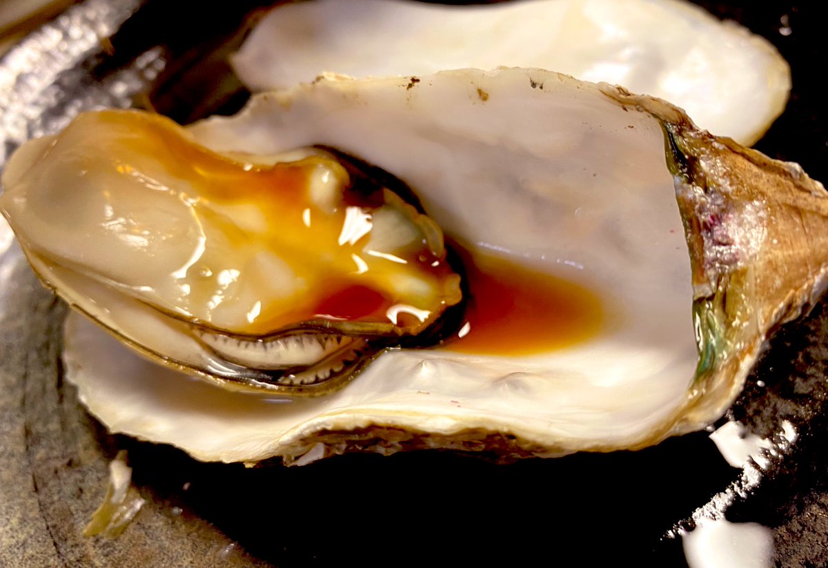 その他 masa Post by Big Masa（ビッグまさ）🇯🇵 on X: オイシー😆