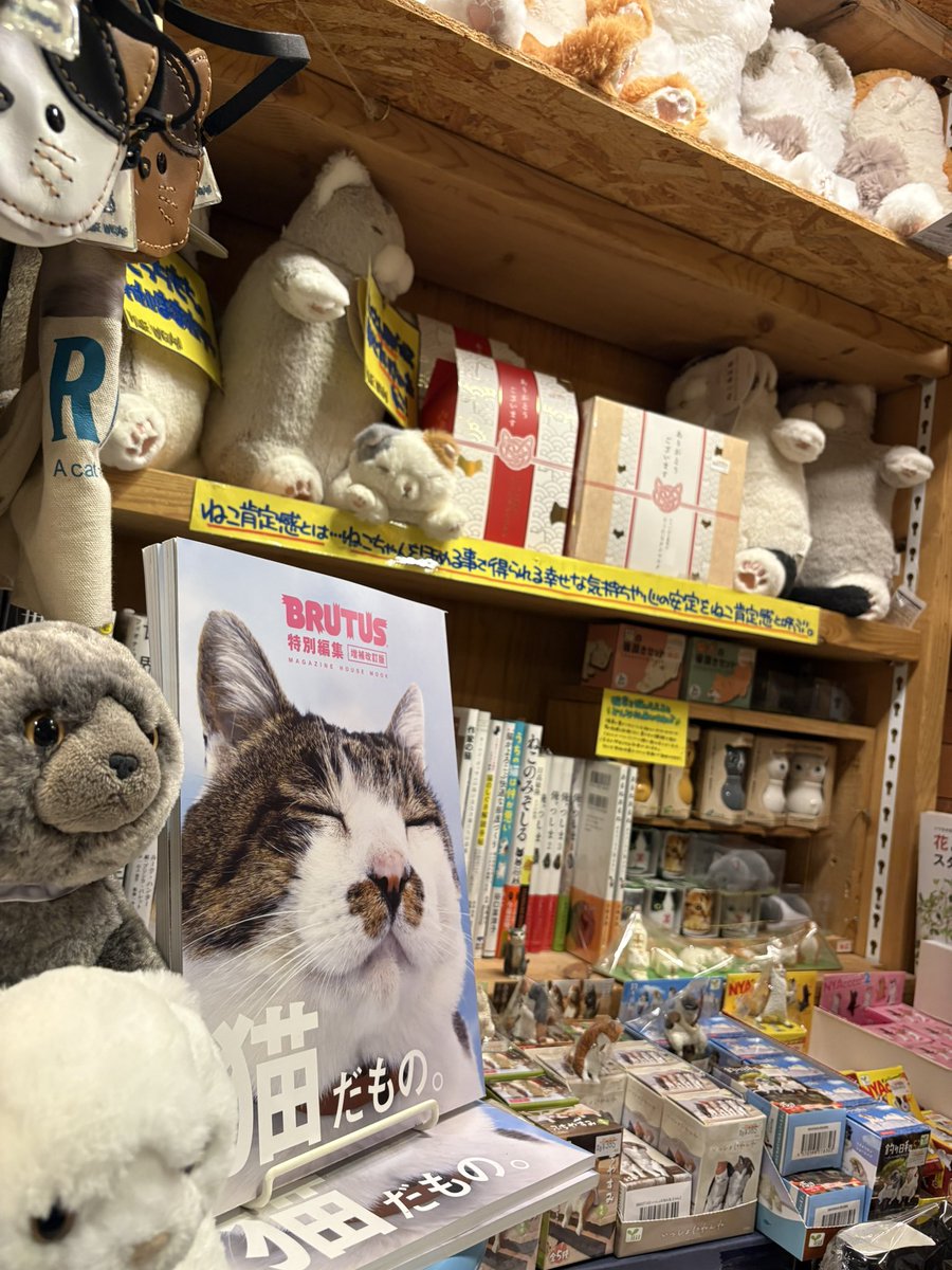 ヴィレッジヴァンガード岡崎（路面）店 tweet media