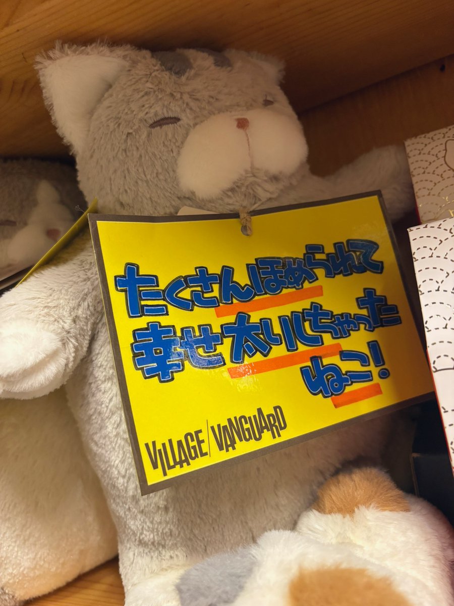 ヴィレッジヴァンガード岡崎（路面）店 tweet media