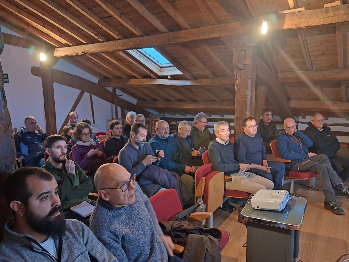 LifeRebollo tweet media