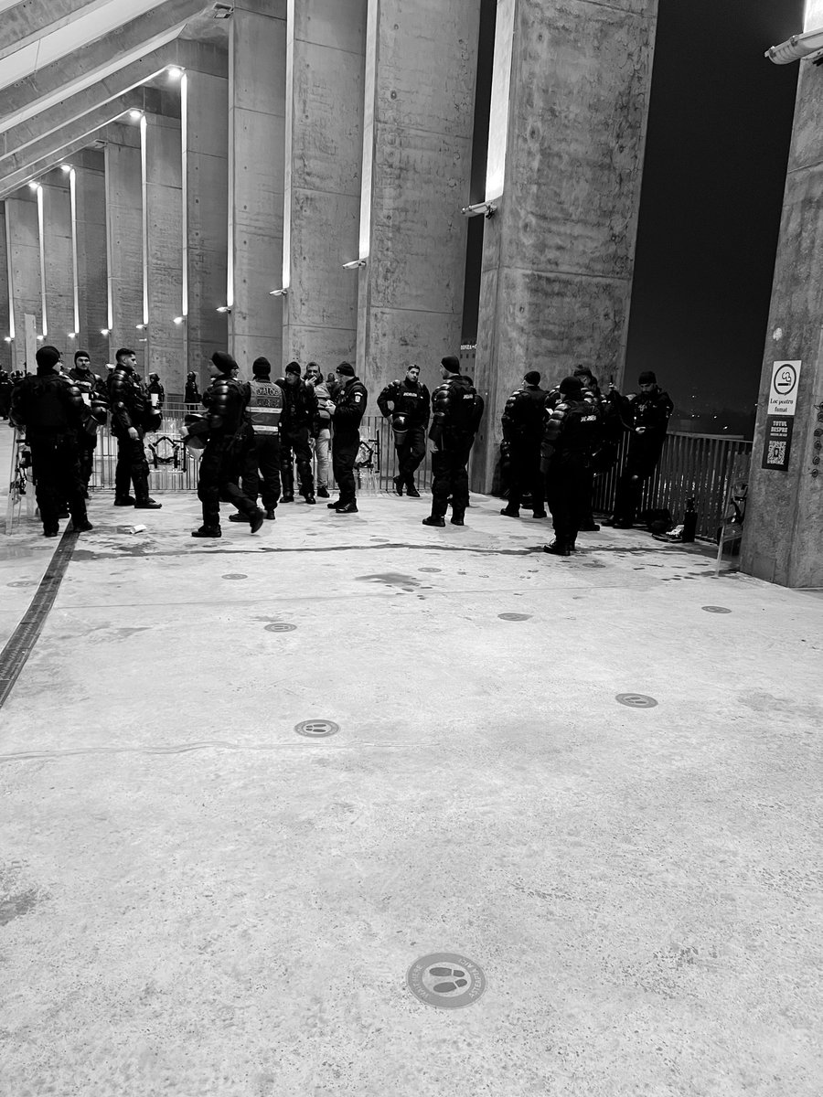 TP_1908's tweet image. FCSB - Feyenoord