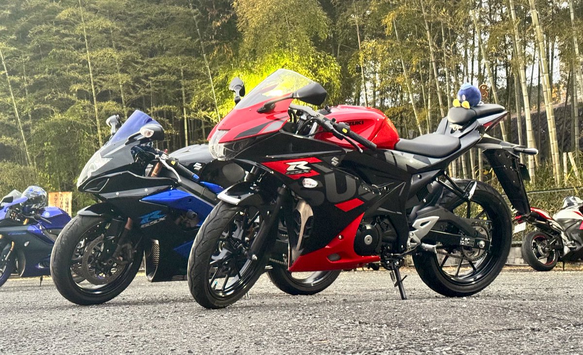 FlyingSunClub's tweet photo. さすがに冬を感じる気温になってきましたね🥶
今日は部員がGSXR125を買ったみたいなので大小並べて写真を撮りました！
少しだけ試乗させていただき、スズキの走りを味わえてお腹いっぱいです😋😋 https://t.co/BlNvPNiWEq