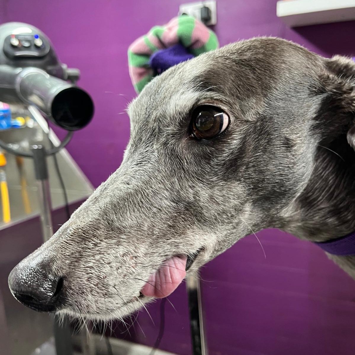 Blue Nial 💙 | 🌈 Diamond Jet 💎 tweet media