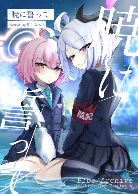 ホシノ(ブルーアーカイブ) 「冬コミ 新刊表紙 ホシヒナIF本です