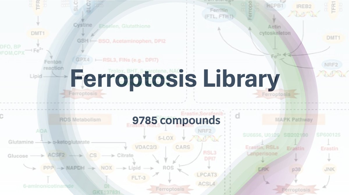 ChemDiv's tweet photo. Ferroptosis Library is a specialized collection of 9,785 small molecules designed to modulate ferroptosis—an iron-dependent form of regulated cell death characterized by the accumulation of lipid peroxides. 

https://t.co/QLgeSh3bna

#Ferroptosis_Library https://t.co/MlPxrhg0K0