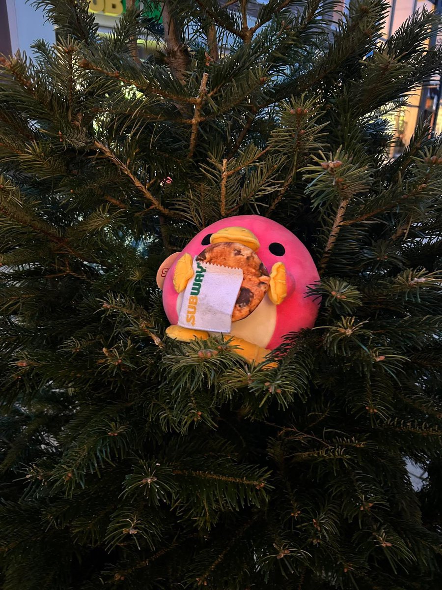 Ff kerstboom bekijken….