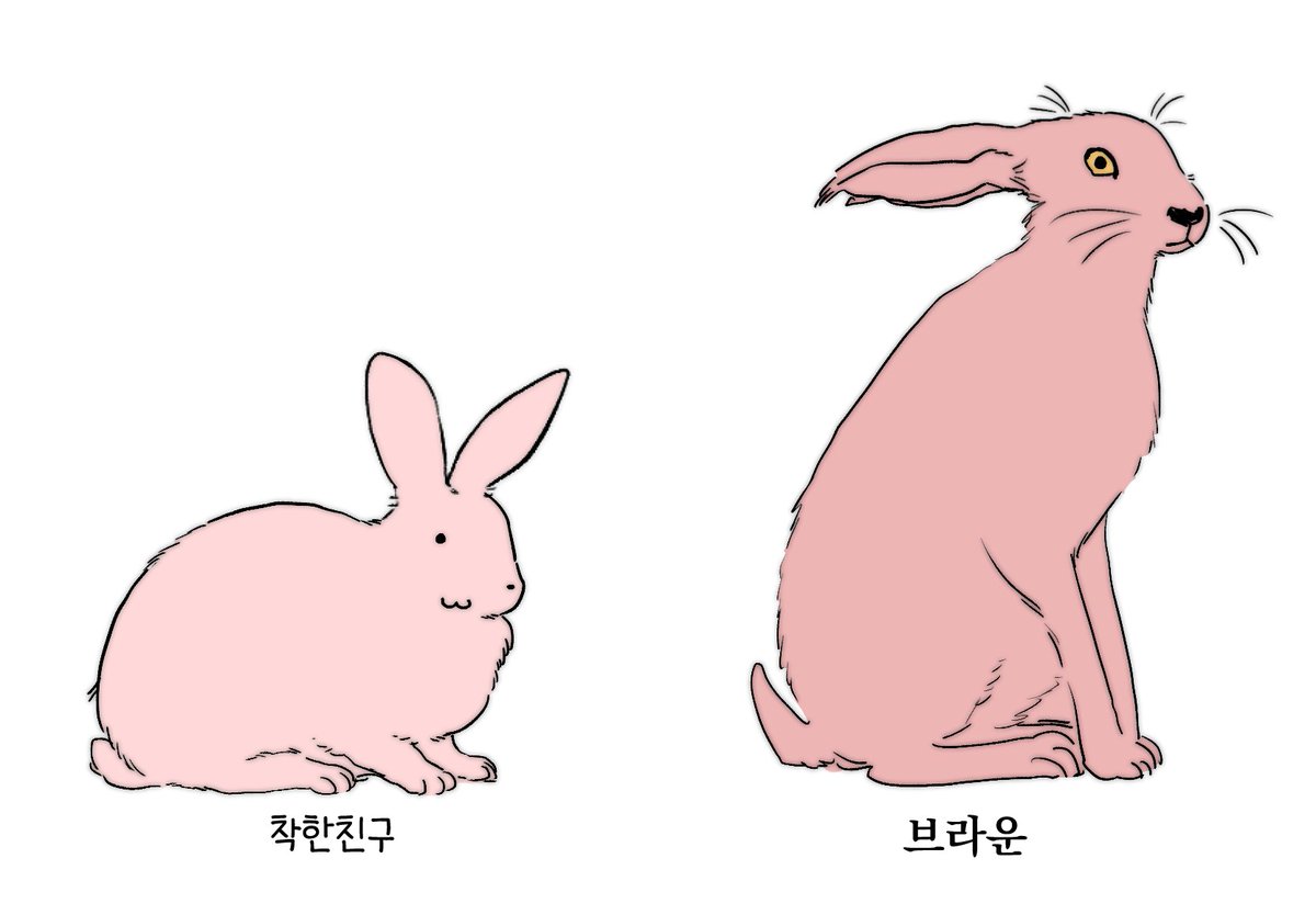 약간 이런 느낌