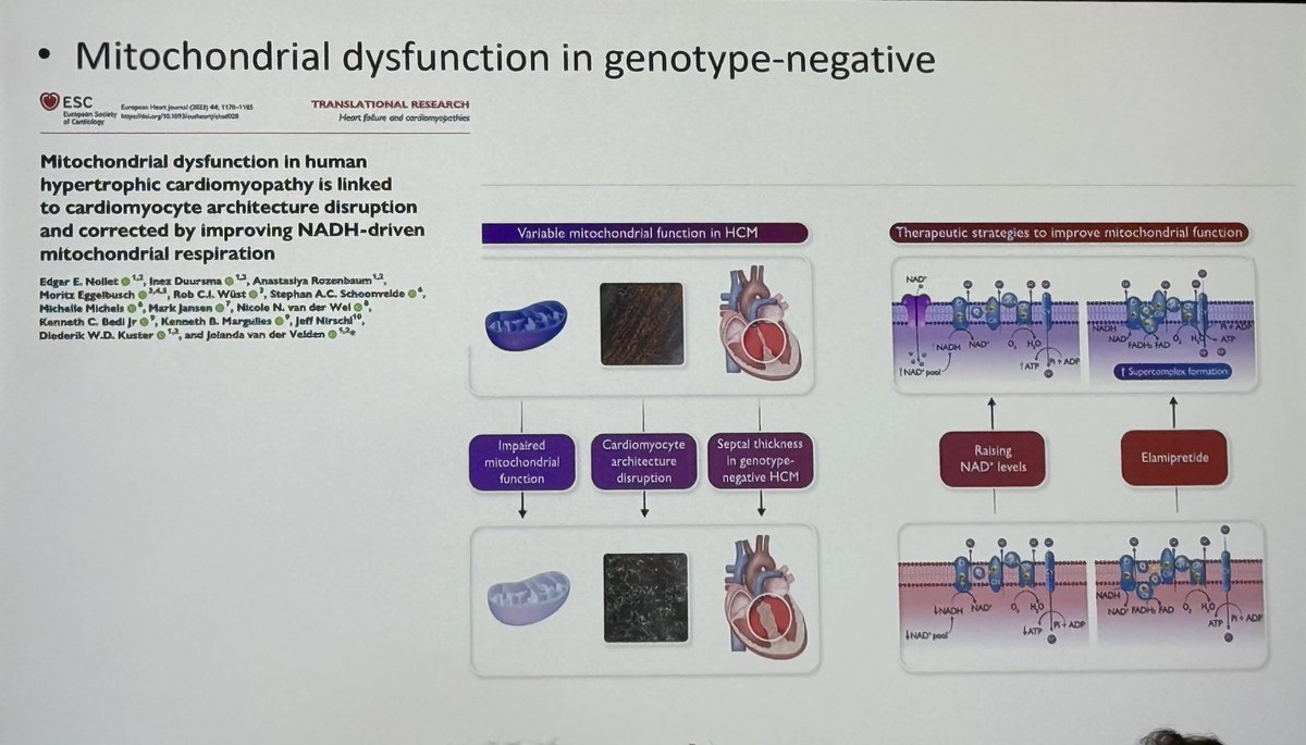 Leema_Robert tweet media