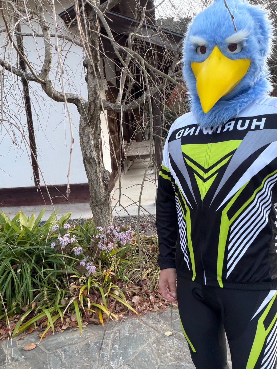 こうじ。 (@ModokiKouji) on X