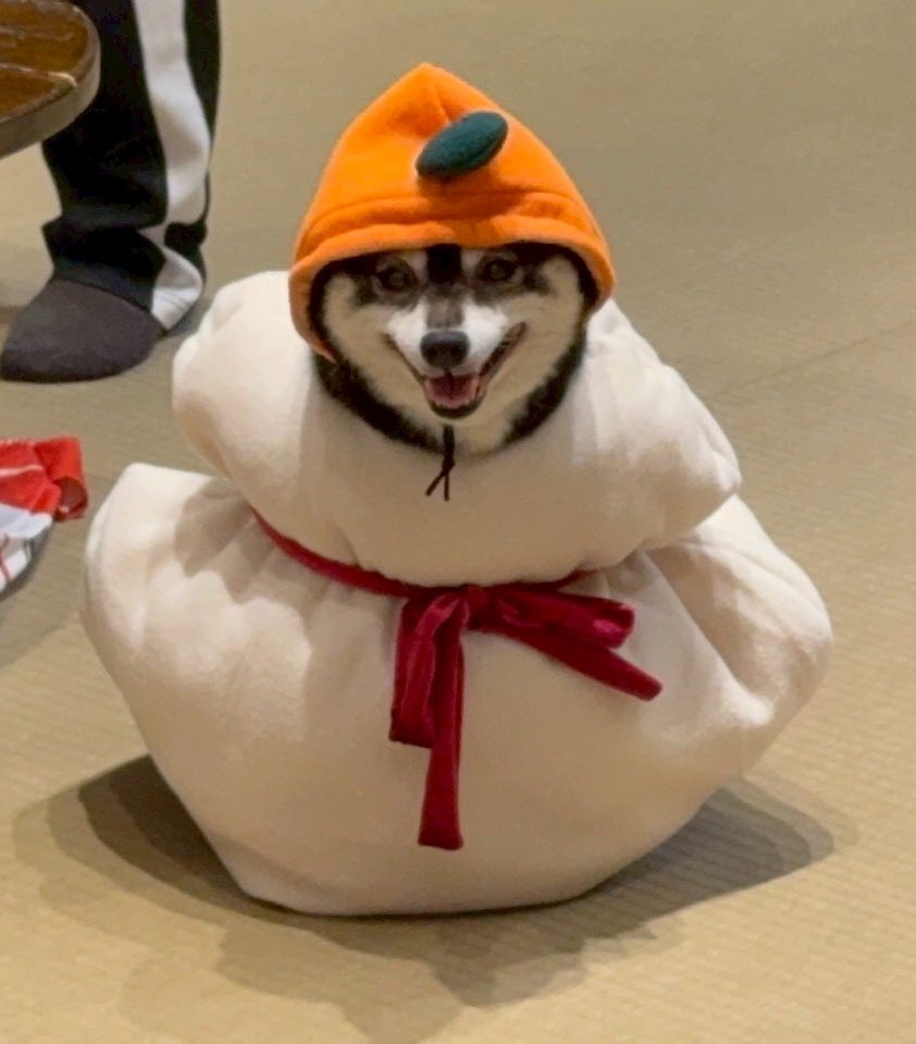 オーダー受付　鏡餅と柴犬パネル生地　黒柴　お正月　超レア❤️ 鏡餅飾り 柴犬 – GREEN CROSS-select 工事現場の安全対策用品なら