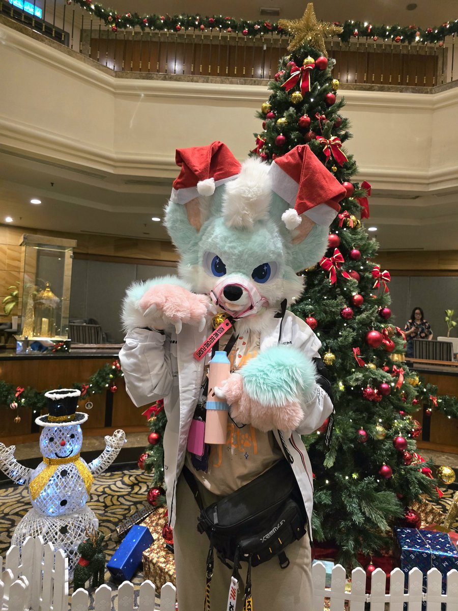 Silly Bjöwa ➡️ Furlieu tweet media