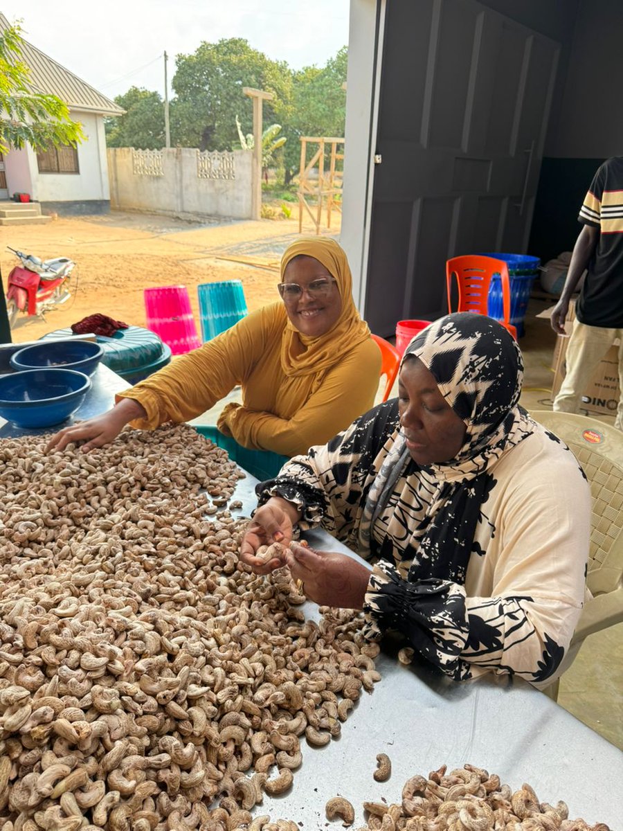 RahamiAgriGroup's tweet photo. A calm Friday moment between teammates, sharing ideas, laughter, and the passion that keeps our work moving forward. 

Every great impact starts with conversations like these.

Happy Friday from our team to yours! 🌿✨

#RahamiAgriGroup #Teamwork #FridayVibes #CashewIndustry https://t.co/XngnNIGsvc
