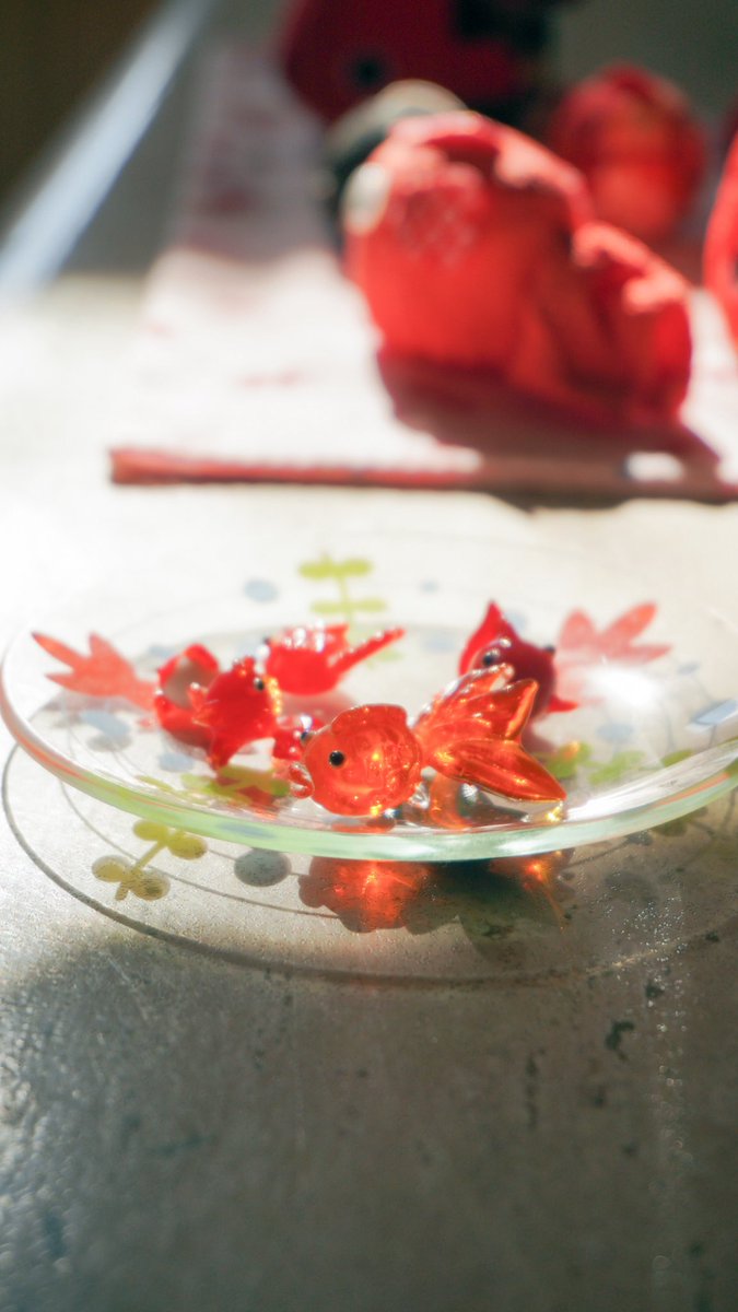 harerukitto's tweet image. #写真好きな人と繋がりたい #ファインダー越しの私の世界 #キリトリセカイ
山口