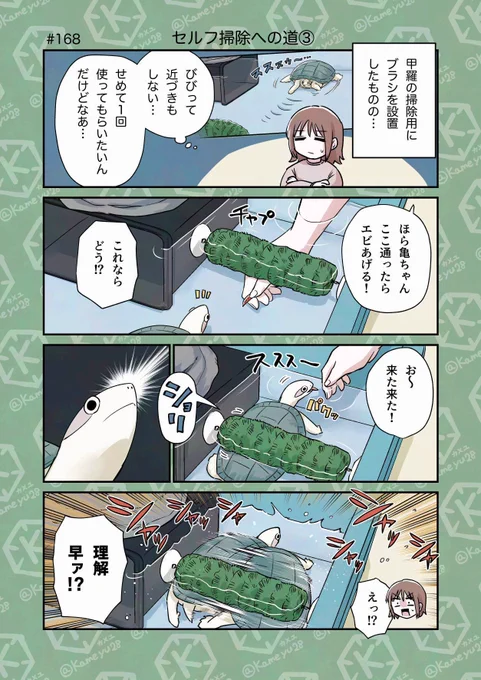 亀飼い漫画「セルフ掃除への道③」 