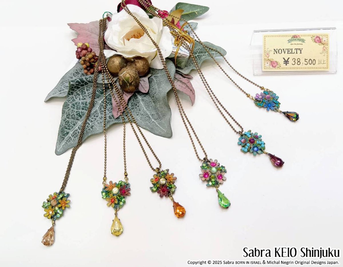 ミハエルネグリン　ハムサ ミハエルネグリン Japan【公式】 (@MichalNegrinJPN) / Posts / X