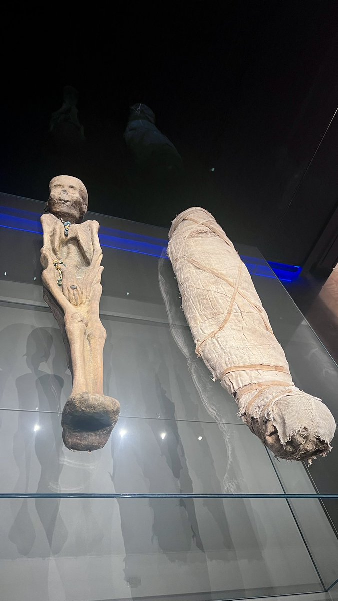 ALavrina's tweet image. For more than a decade, one of #Libya’s most important chapters of history remained closed. Today, that silence ends in #Tripoli.

The National Museum, located within the historic Assaray al-Hamra — the Red Castle — is preparing to reopen its doors. Inside are artifacts spanning