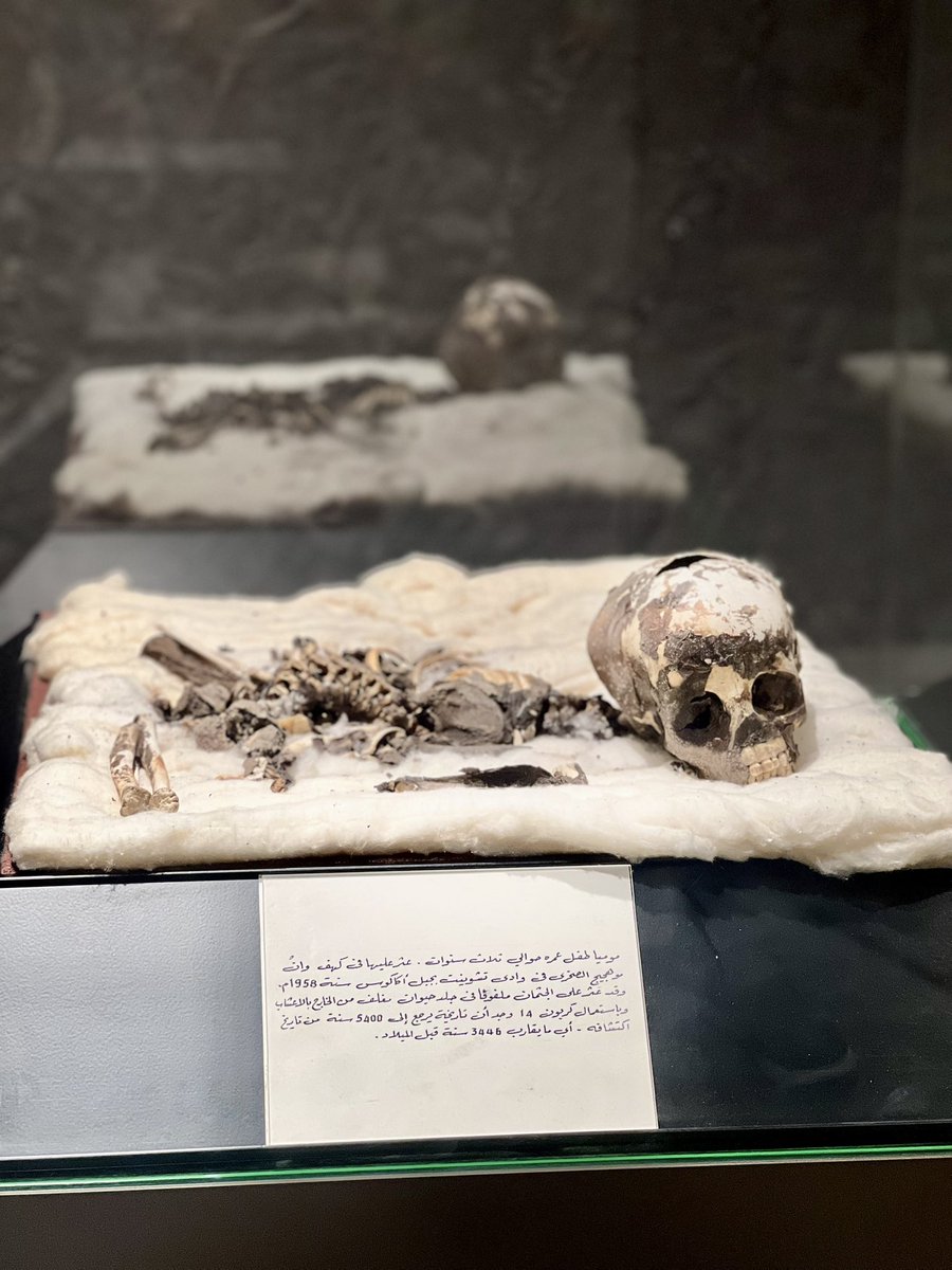 ALavrina's tweet image. For more than a decade, one of #Libya’s most important chapters of history remained closed. Today, that silence ends in #Tripoli.

The National Museum, located within the historic Assaray al-Hamra — the Red Castle — is preparing to reopen its doors. Inside are artifacts spanning
