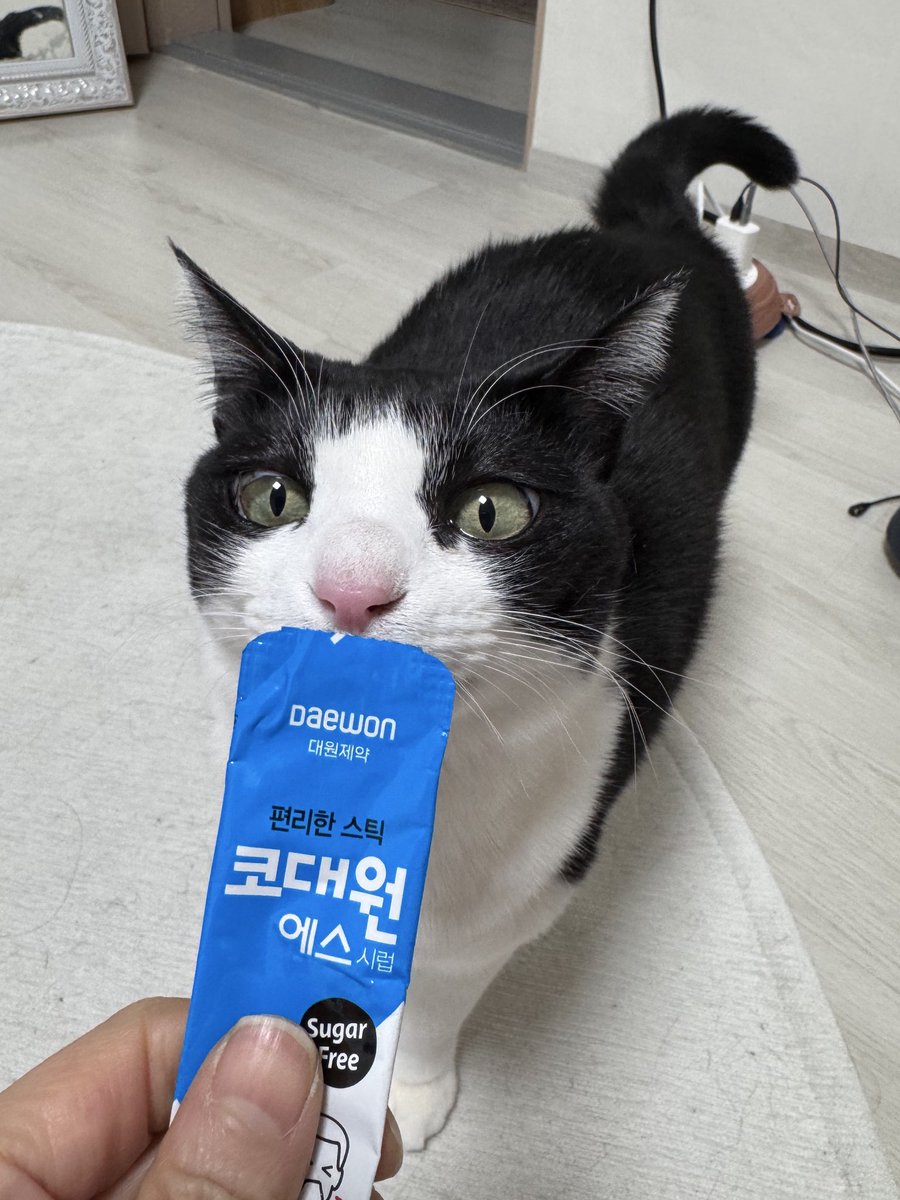 억울해 죽겟네 니꺼 아니고 내꺼라고