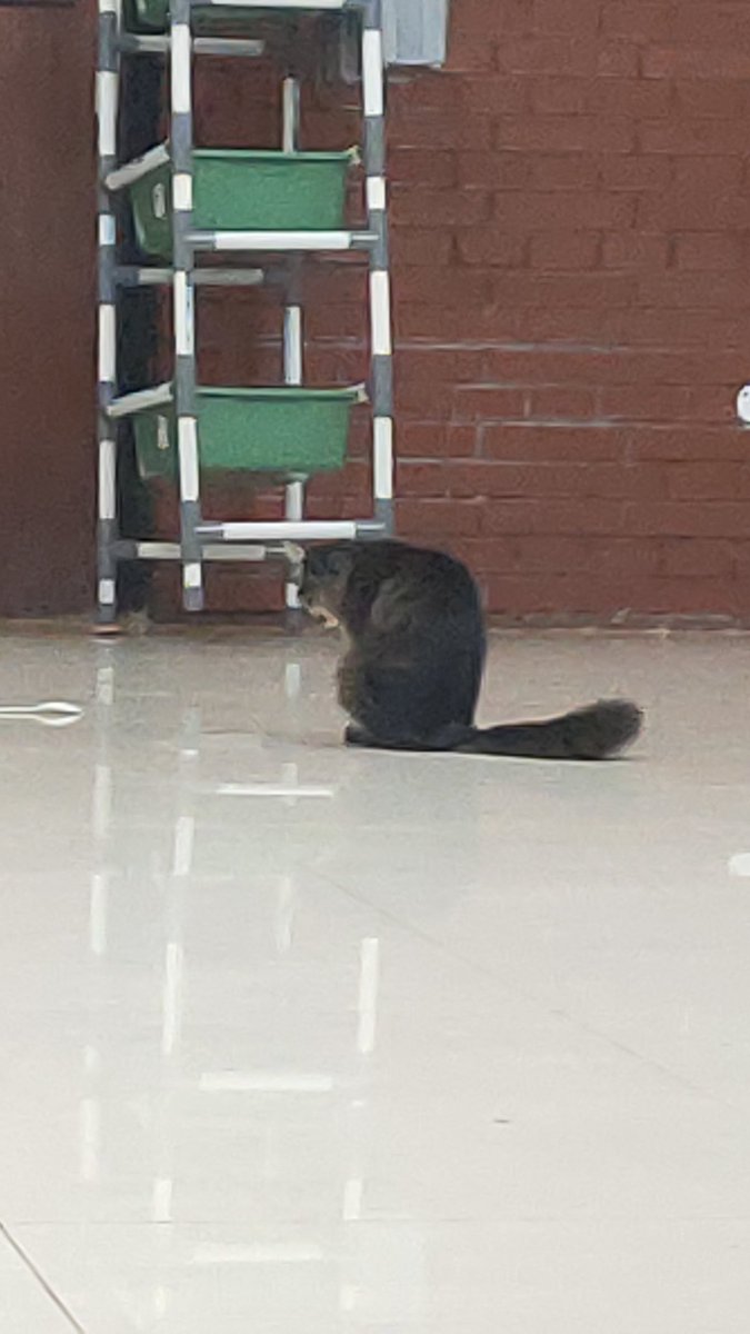 pucuinvers's tweet image. 