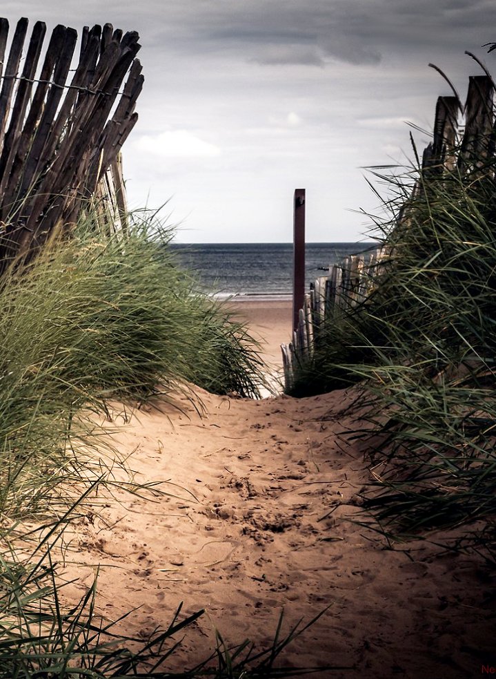 All paths lead to the beach! 👣⛱️🏴󠁧󠁢󠁳󠁣󠁴󠁿
#StormHour #FridayVibes