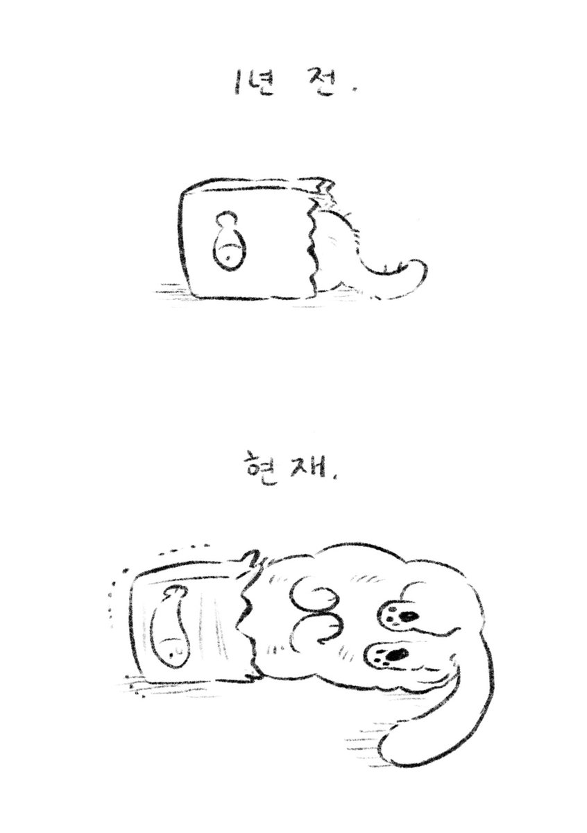 무지지 tweet media