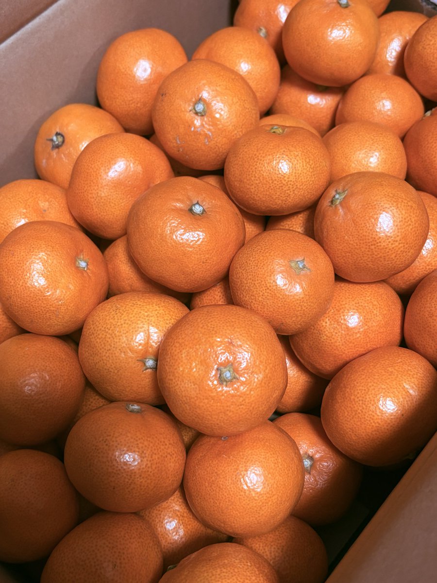 sugimu (@sugimu_sec) / Posts / X