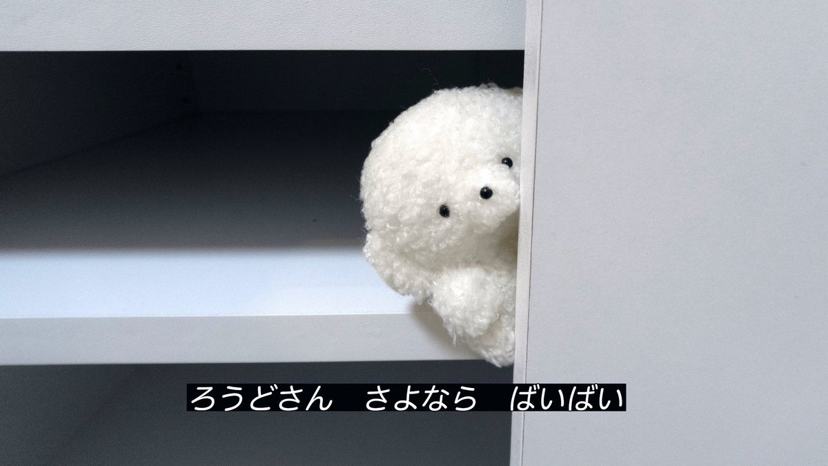 べーやん🐼🐾 (@beyan1127) / Posts / X