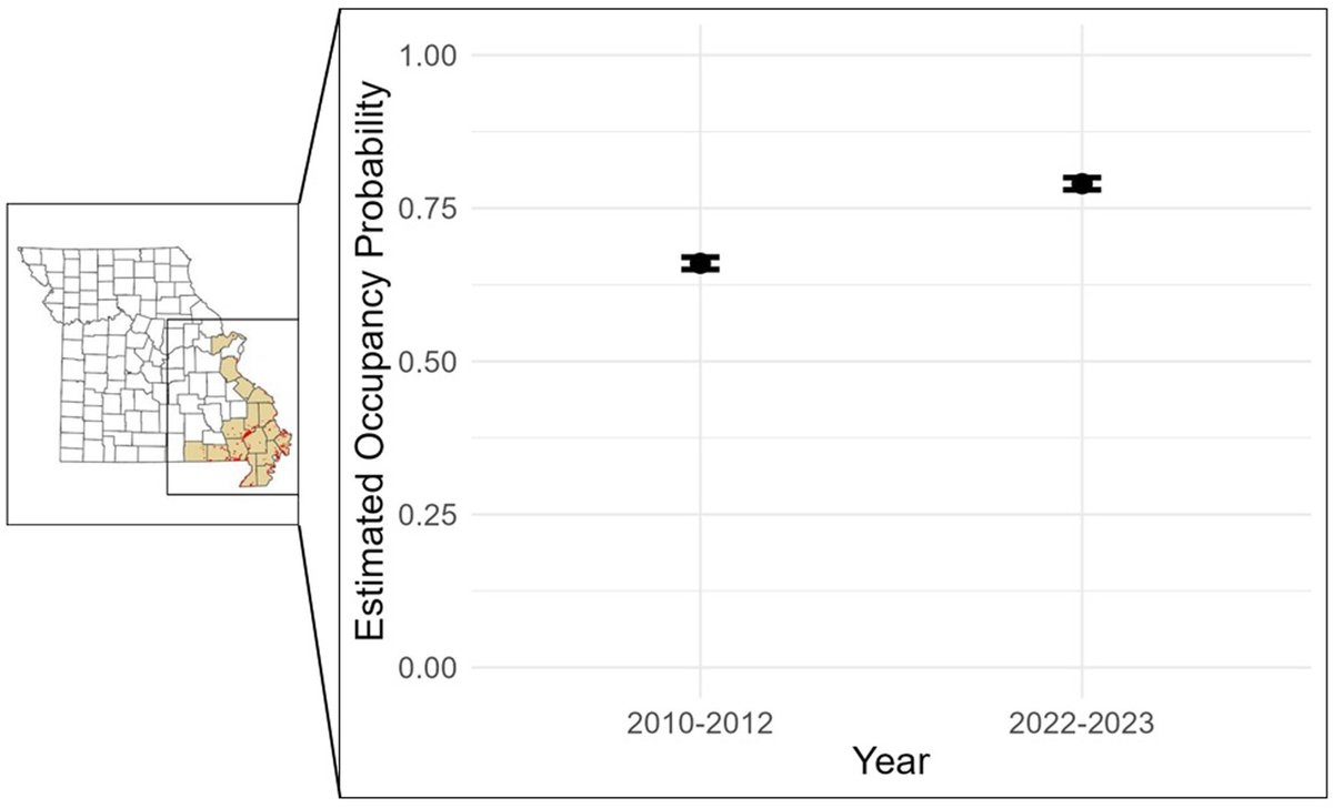 World Lagomorph Society tweet media