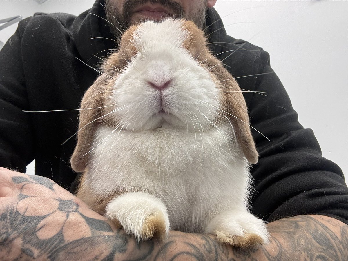 If YOU like this bunny she will go viral. Just think about that, it applies to everyone. ❤️