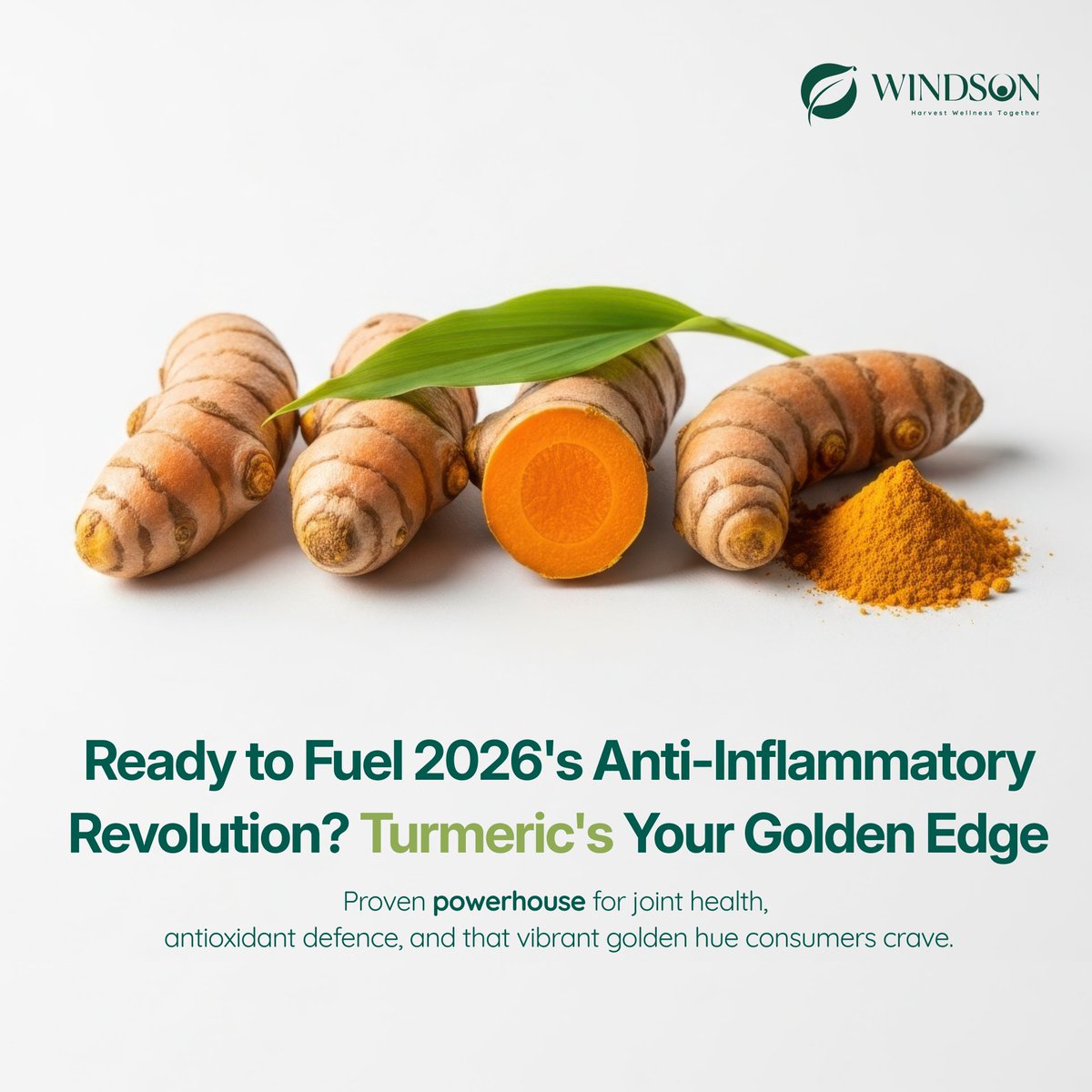 windsonindia's tweet photo. 🚀 2026 Glow-Up Secret: Turmeric! Anti-inflammatory magic, 11.9% CAGR boom. 
HPLC-tested, clean, certified—150+ brands love it. 
Comment "TURMERIC" for sample! MOQ 5kg. #TurmericMagic https://t.co/6Cvov5DheL