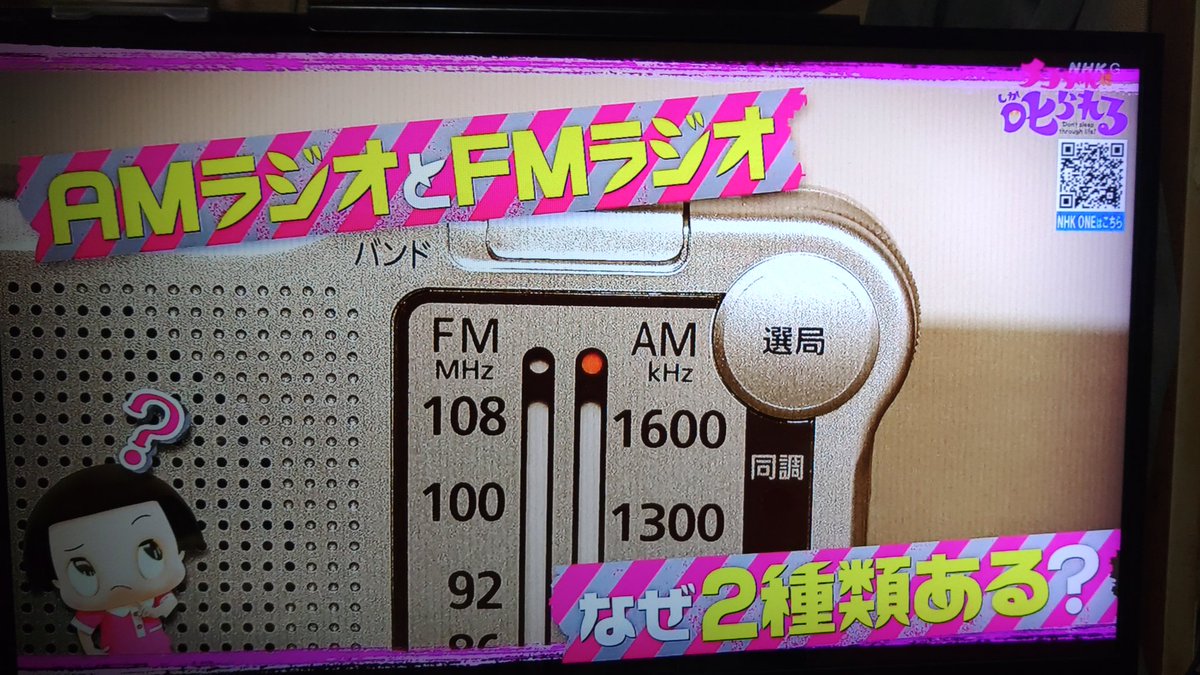 ⚠︎いかけや様 いや、短波わい‼️😆