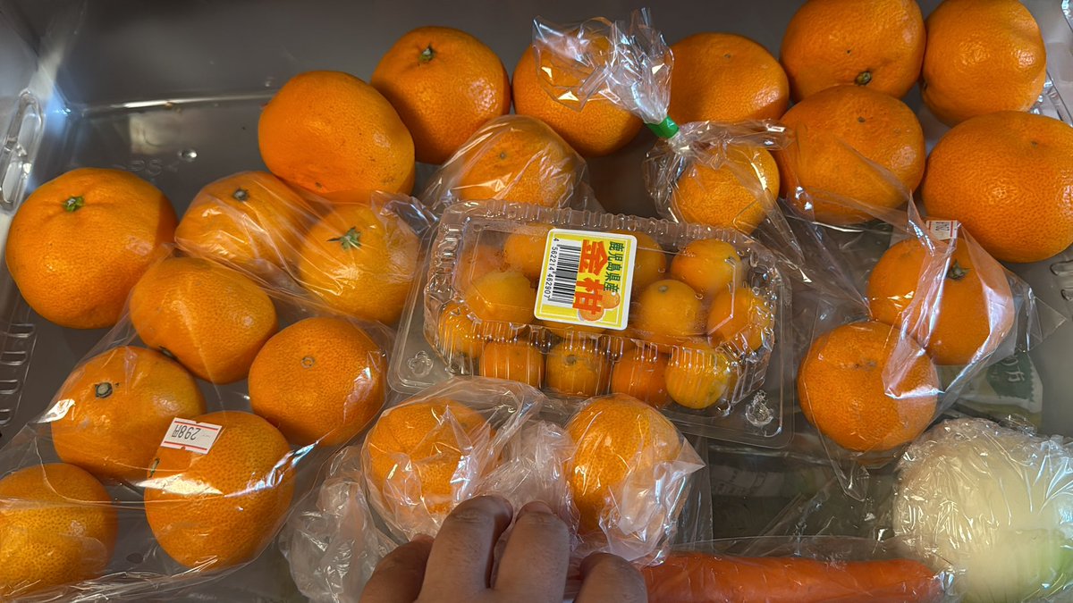 みかんが好きすぎて勝手に島内の商店でみかんを買い集め、みかんくらべをしています。先週きた船の時はけんちゃんストアーのみかんが1番甘かった。そしてみかんの味が濃くて堪りませんでした♡ でかいみかんより小粒で皮は驚くほど薄いみかんが美味しいみかんだと思っていますが皆さんはどうですか？