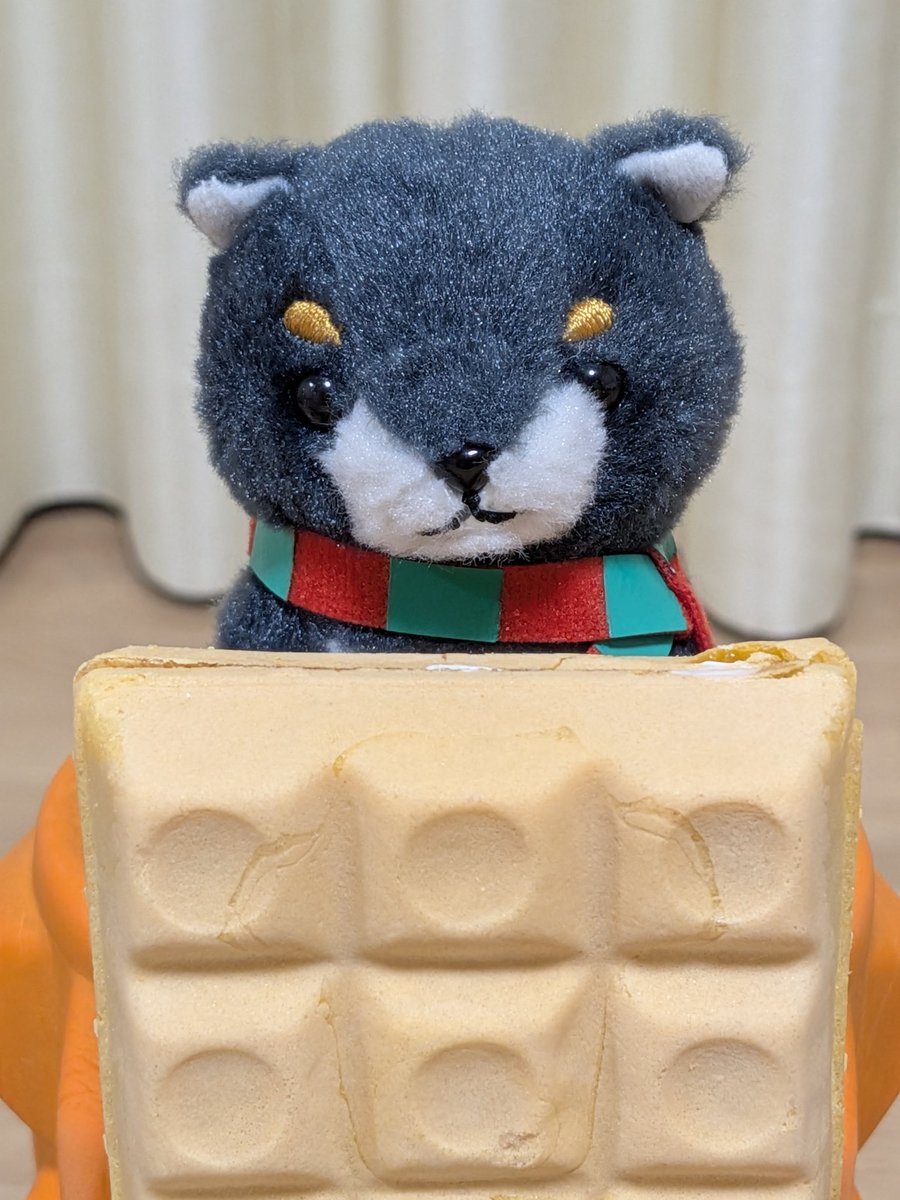 まめたん810 まめたん (@lapin145) / Posts / X