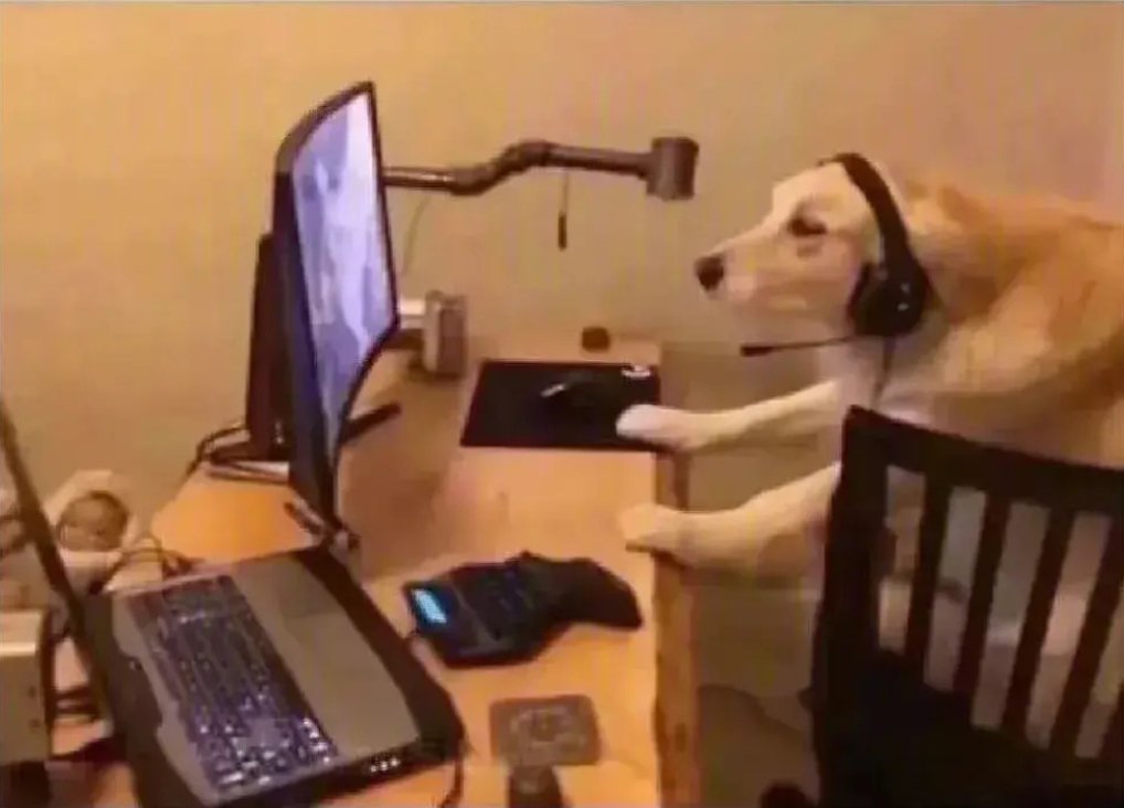 千田悠依奈💚正在努力的熊熊✨ tweet media