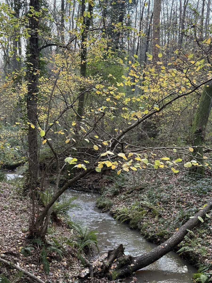 mkemalsayar's tweet photo. Yürümeyi bilene, yol içeri bükülür. Duymayı bilene, hakikat kükrer. https://t.co/r3bKVK8a7h