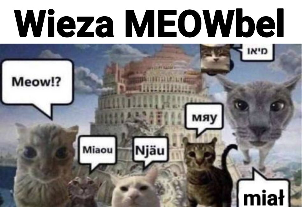 nat alka (@browaritha) on Twitter photo 